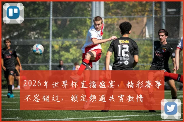 2026年世界杯直播盛宴，精彩赛事不容错过，锁定频道共赏激情
