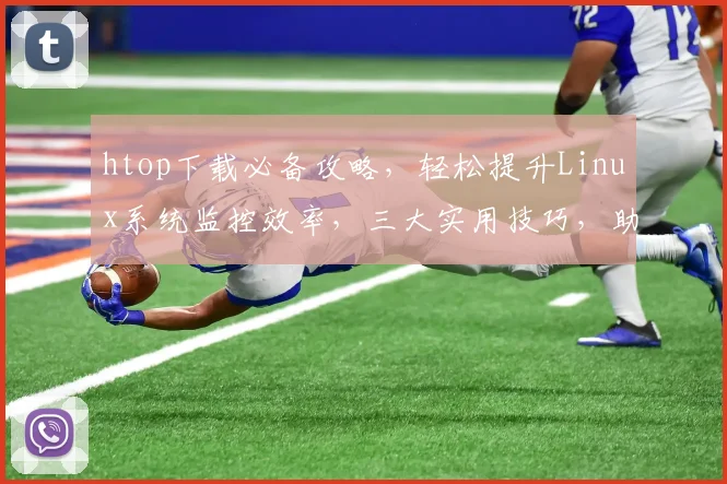 htop下载必备攻略，轻松提升Linux系统监控效率，三大实用技巧，助你高效运维，快人一步