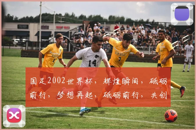 国足2002世界杯，辉煌瞬间，砥砺前行，梦想再起，砥砺前行，共创辉煌