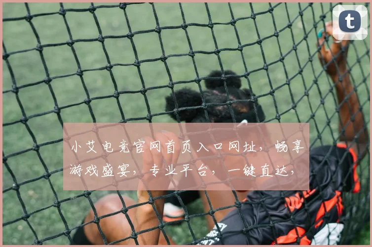 小艾电竞官网首页入口网址，畅享游戏盛宴，专业平台，一键直达，轻松登录，体验非凡